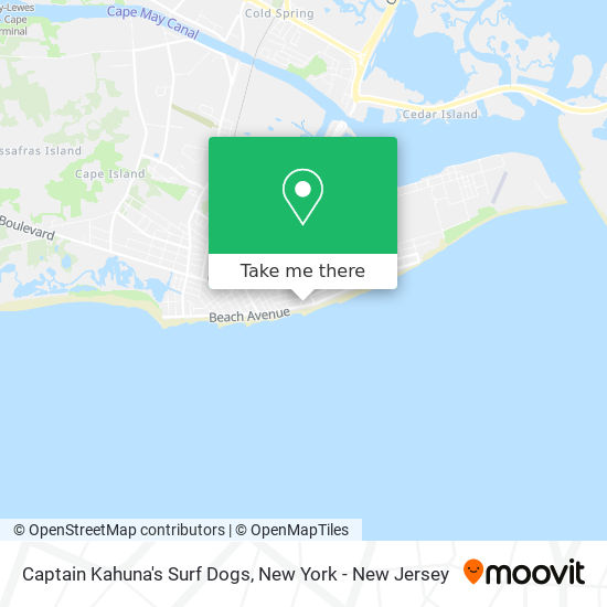 Captain Kahuna's Surf Dogs map