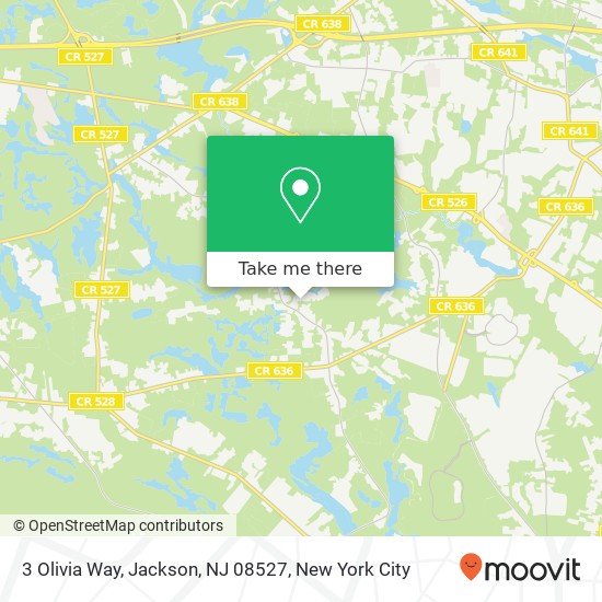3 Olivia Way, Jackson, NJ 08527 map