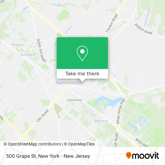 500 Grape St map