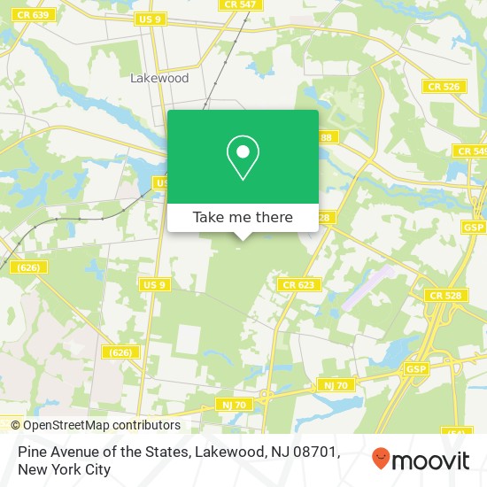 Mapa de Pine Avenue of the States, Lakewood, NJ 08701