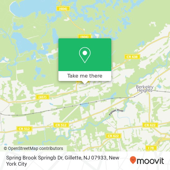 Spring Brook Springb Dr, Gillette, NJ 07933 map