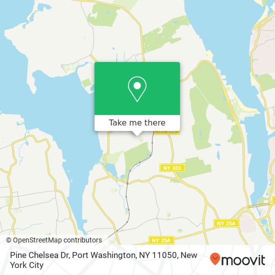 Mapa de Pine Chelsea Dr, Port Washington, NY 11050