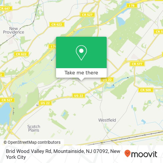 Brid Wood Valley Rd, Mountainside, NJ 07092 map