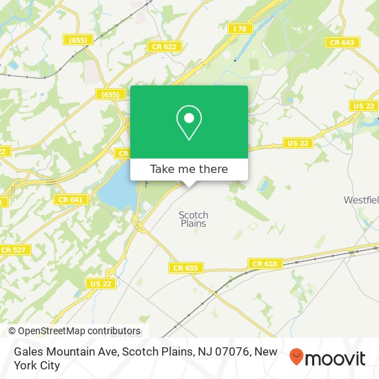 Gales Mountain Ave, Scotch Plains, NJ 07076 map