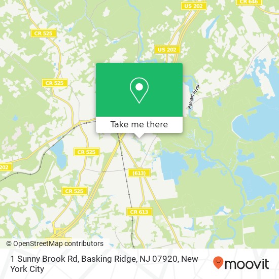 Mapa de 1 Sunny Brook Rd, Basking Ridge, NJ 07920