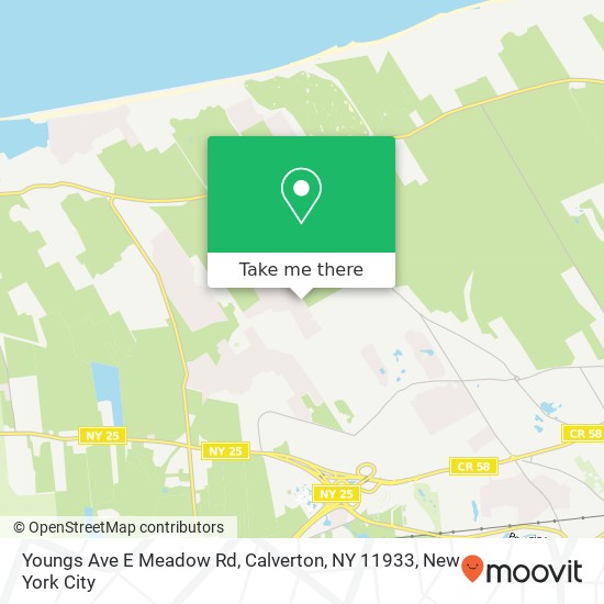 Youngs Ave E Meadow Rd, Calverton, NY 11933 map