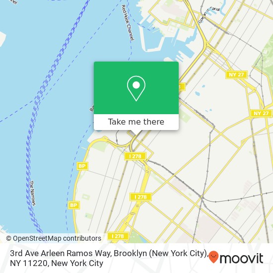 Mapa de 3rd Ave Arleen Ramos Way, Brooklyn (New York City), NY 11220