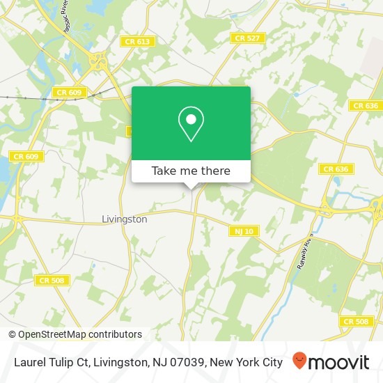 Mapa de Laurel Tulip Ct, Livingston, NJ 07039