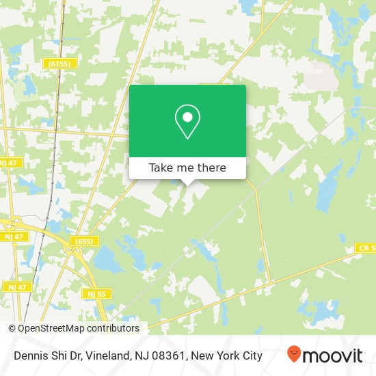 Mapa de Dennis Shi Dr, Vineland, NJ 08361