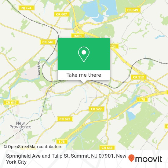 Springfield Ave and Tulip St, Summit, NJ 07901 map