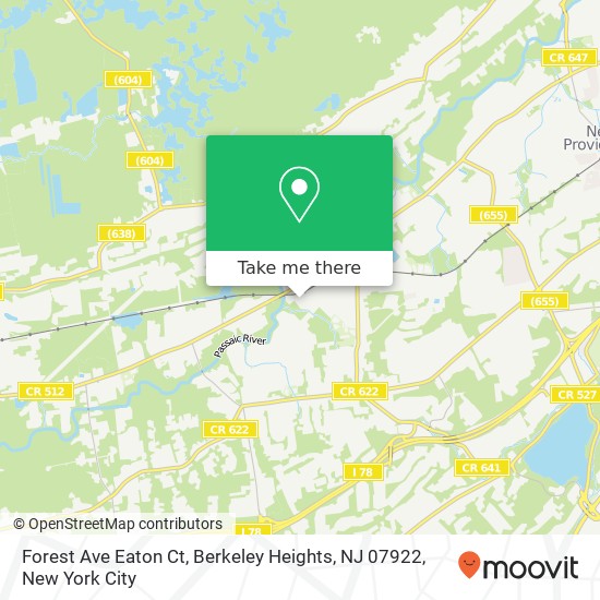 Forest Ave Eaton Ct, Berkeley Heights, NJ 07922 map