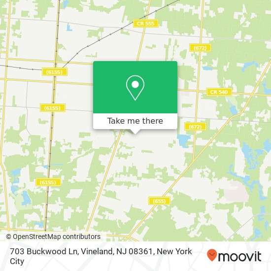 Mapa de 703 Buckwood Ln, Vineland, NJ 08361