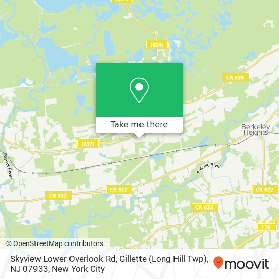 Mapa de Skyview Lower Overlook Rd, Gillette (Long Hill Twp), NJ 07933