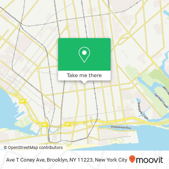 Mapa de Ave T Coney Ave, Brooklyn, NY 11223