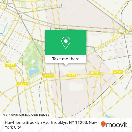 Hawthorne Brooklyn Ave, Brooklyn, NY 11203 map
