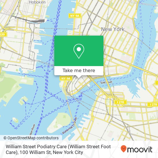 Mapa de William Street Podiatry Care (William Street Foot Care), 100 William St