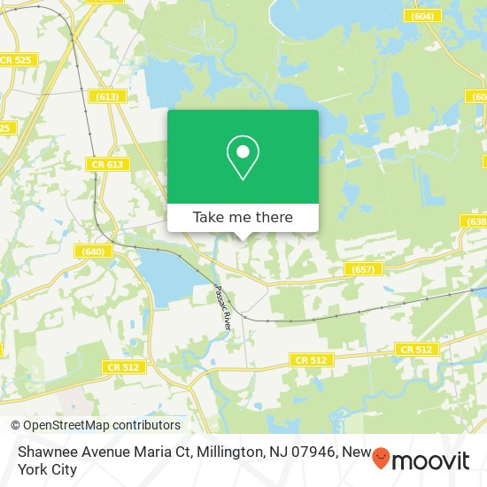 Mapa de Shawnee Avenue Maria Ct, Millington, NJ 07946