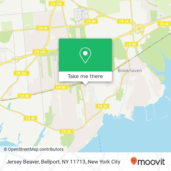 Jersey Beaver, Bellport, NY 11713 map