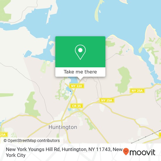 New York Youngs Hill Rd, Huntington, NY 11743 map