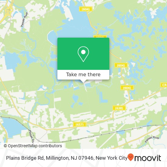 Mapa de Plains Bridge Rd, Millington, NJ 07946