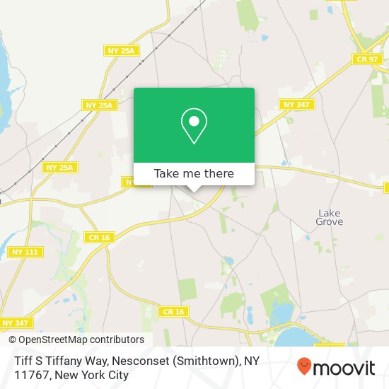 Mapa de Tiff S Tiffany Way, Nesconset (Smithtown), NY 11767