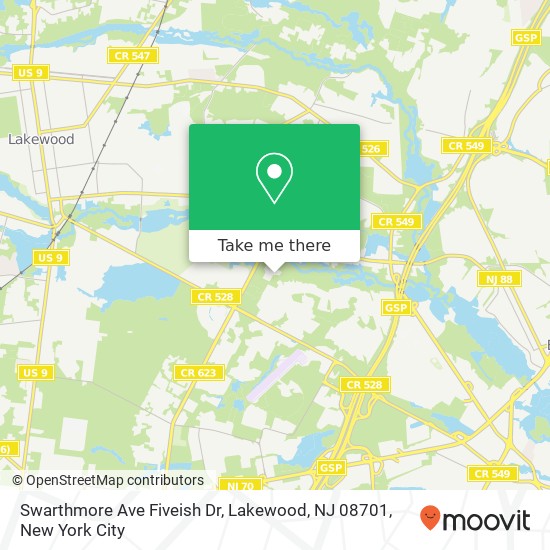 Swarthmore Ave Fiveish Dr, Lakewood, NJ 08701 map
