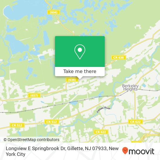 Longview E Springbrook Dr, Gillette, NJ 07933 map