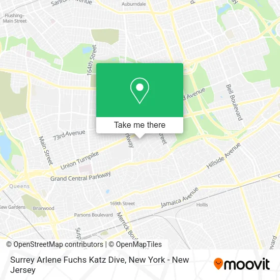 Surrey Arlene Fuchs Katz Dive map