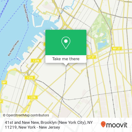 41st and New New, Brooklyn (New York City), NY 11219 map