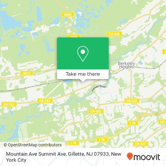 Mapa de Mountain Ave Summit Ave, Gillette, NJ 07933