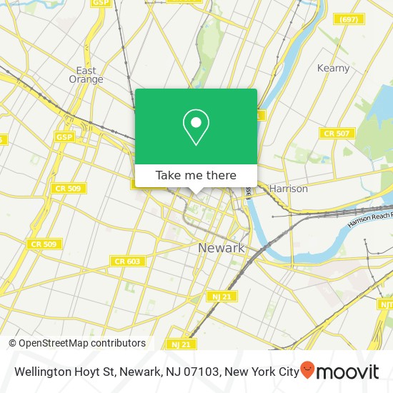 Mapa de Wellington Hoyt St, Newark, NJ 07103