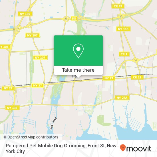 Pampered Pet Mobile Dog Grooming, Front St map