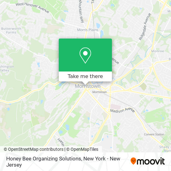 Honey Bee Organizing Solutions map