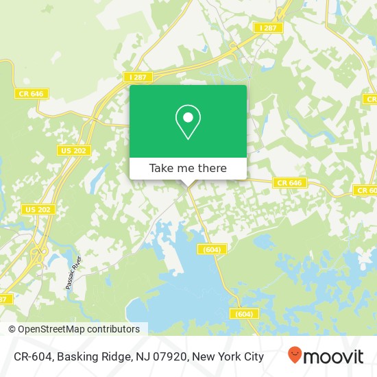 Mapa de CR-604, Basking Ridge, NJ 07920