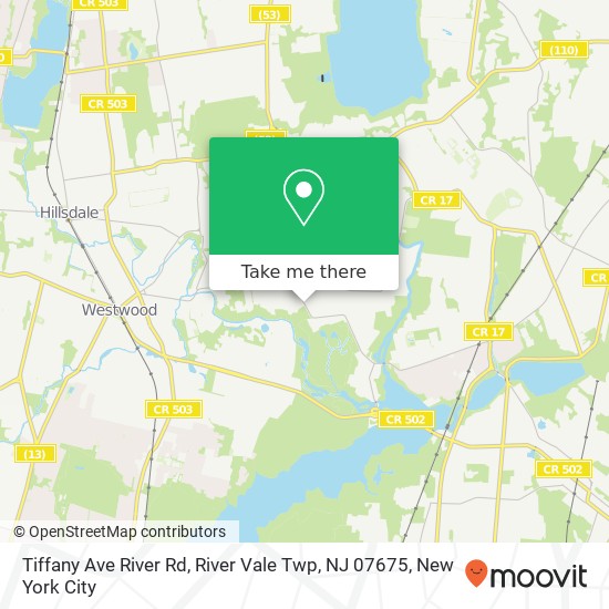 Mapa de Tiffany Ave River Rd, River Vale Twp, NJ 07675