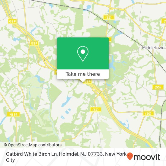 Catbird White Birch Ln, Holmdel, NJ 07733 map