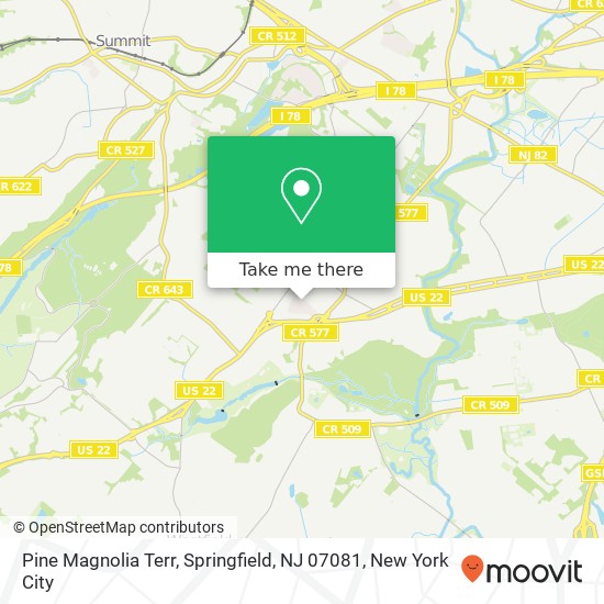 Mapa de Pine Magnolia Terr, Springfield, NJ 07081