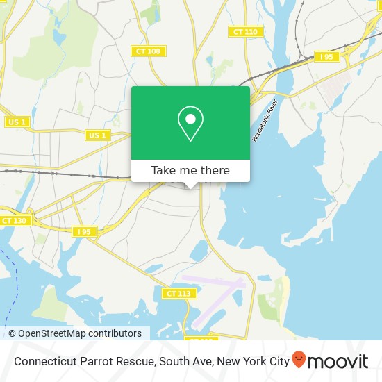 Mapa de Connecticut Parrot Rescue, South Ave