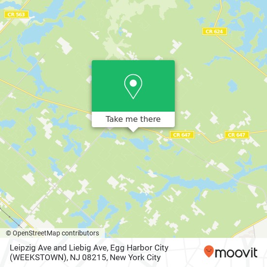 Mapa de Leipzig Ave and Liebig Ave, Egg Harbor City (WEEKSTOWN), NJ 08215