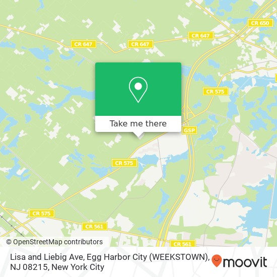 Lisa and Liebig Ave, Egg Harbor City (WEEKSTOWN), NJ 08215 map