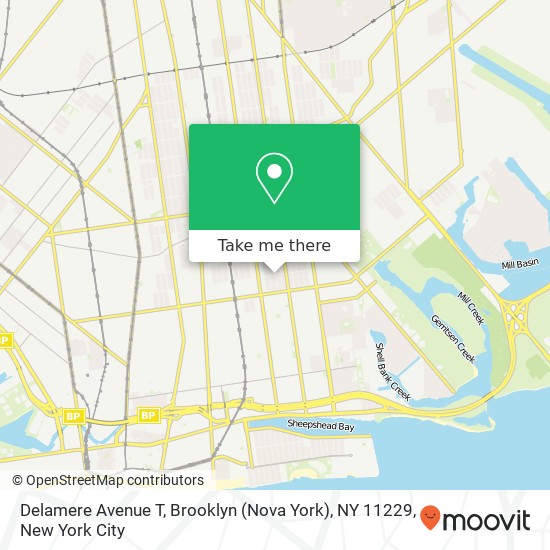 Mapa de Delamere Avenue T, Brooklyn (Nova York), NY 11229
