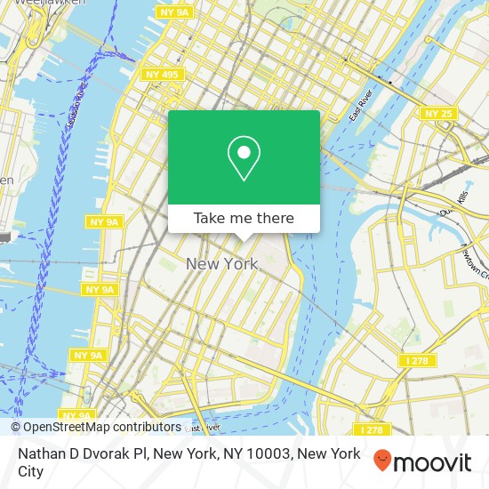 Nathan D Dvorak Pl, New York, NY 10003 map