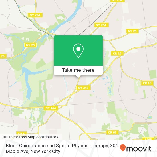 Block Chiropractic and Sports Physical Therapy, 301 Maple Ave map