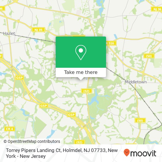 Torrey Pipers Landing Ct, Holmdel, NJ 07733 map