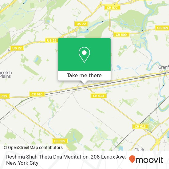 Mapa de Reshma Shah Theta Dna Meditation, 208 Lenox Ave