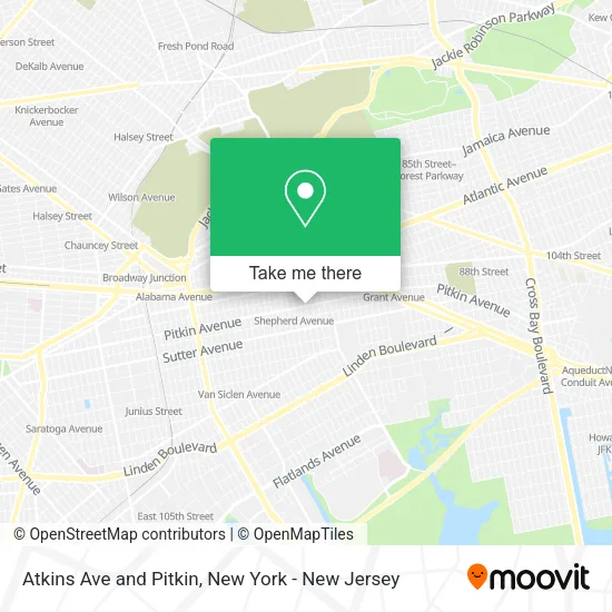 Atkins Ave and Pitkin map