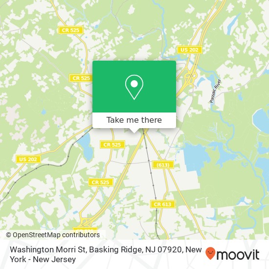Washington Morri St, Basking Ridge, NJ 07920 map