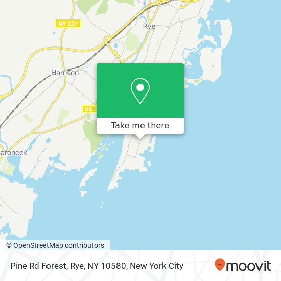 Mapa de Pine Rd Forest, Rye, NY 10580