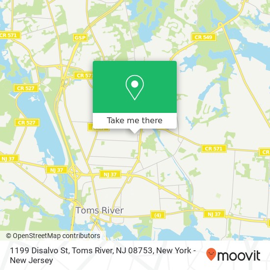 1199 Disalvo St, Toms River, NJ 08753 map