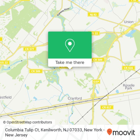 Mapa de Columbia Tulip Ct, Kenilworth, NJ 07033